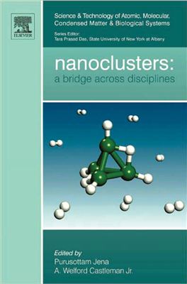 Jena P., Castleman A.W. (Eds.) Nanoclusters: A Bridge across Disciplines