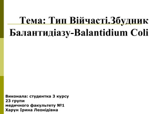 Збудник Балантидіазу - Balantidium Coli