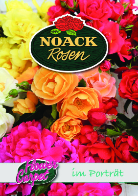Noack Rosen