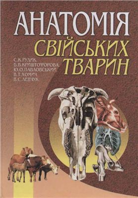 Рудик С.К., Павловський Ю.О., Криштофорова Б.В. та ін. Анатомія свійських тварин