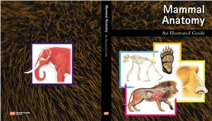 Bernabeo P. (Ed.) Mammal Anatomy: An Illustrated Guide