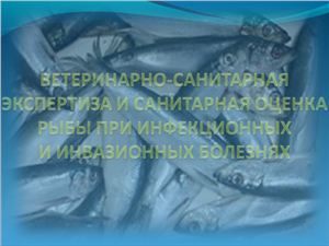 Балджи Ю.А. Ветеринарно-санитарная экспертиза и санитарная оценка рыбы при инфекционных и инвазионных заболеваниях. Лекция 2