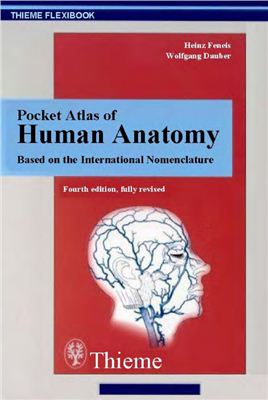 Heinz Feneis, Wolfgang Dauber. Pocket Atlas of Human Anatomy. Based on the International Nomenclature