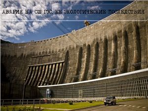 Авария на Саяно-Шушенской ГЭС, ее экологические последствия
