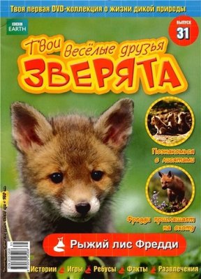 Твои веселые друзья, зверята 2010 №31. Рыжий лис Фредди. Видеоприложение