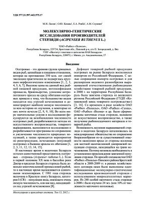Лесюк М.И., Конева О.Ю. и др. Молекулярно-генетические исследования производителей стерляди (Acipenser ruthenus L.)