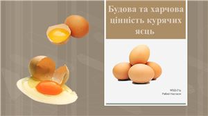 Будова та харчова цінність курячих яєць