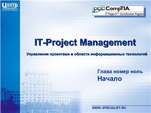 Управление проектами в области информационных технологий