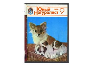 Юный натуралист 1986 №09