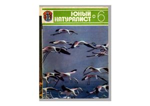 Юный натуралист 1980 №06