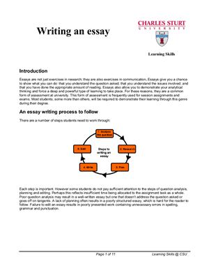 How to write the essay?