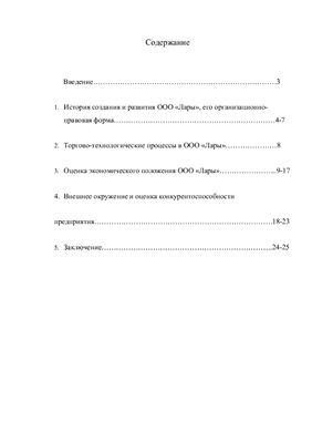 Отчет по производственно-профессиональной практике на примере ООО Лары