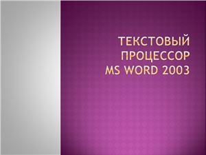 Текстовый процессор MS Word 2003