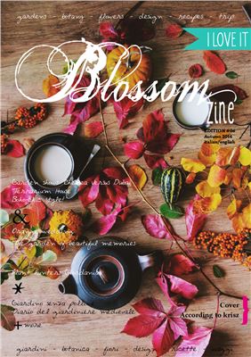 Blossom zine 2014 Edition №06 Autumn