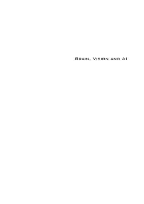 Rossi C. (ed.) Brain, Vision and AI