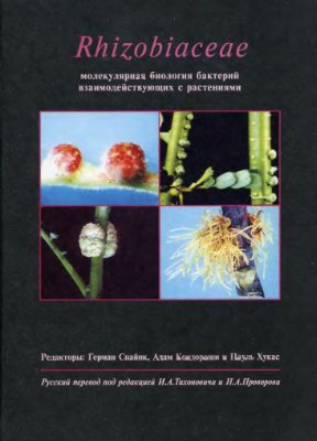 Спайнк Г., Кондороши А., Хукас П. Rhizobiaceae: молекулярная биология бактерий, взаимодействующих с растениями