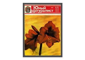 Юный натуралист 1981 №11