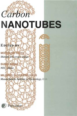 Endo M., Iijima S., Dresselhaus M.S. (eds.) Carbon nanotubes