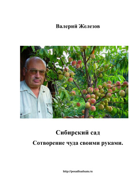 Как эффективно вырастить сливовый и плодовый сад: советы Валерия Железова