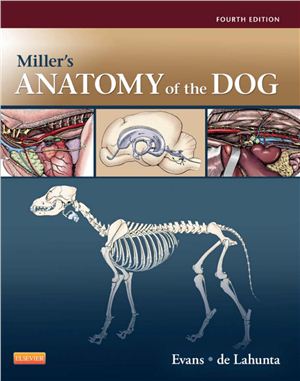 Evans H.E., Lahunta A. Miller's Anatomy of the Dog