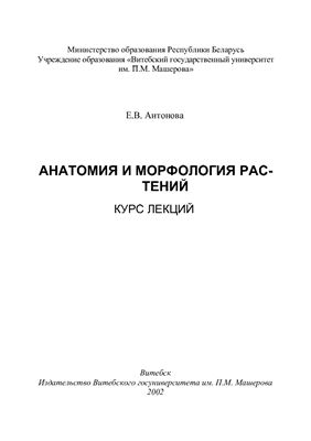Антонова Е.В. Анатомия и морфология растений