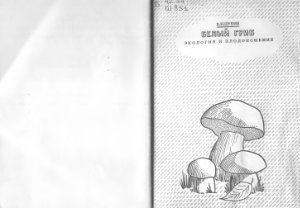 Шубин В.И. Белый гриб. Экология и плодоношение