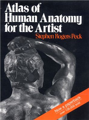 Peck S.R. Atlas of Human Anatomy for the Artist / Пек С.Р. Атлас анатомии человека для художников