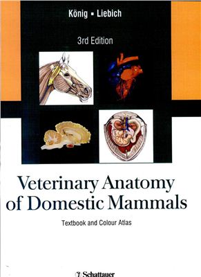 König H.E. Veterinary Anatomy of Domestic Mammals