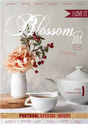 Blossom Zine 2015 №11 winter 2016