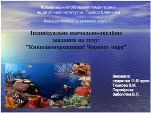 Кишковопорожнинні Чорного моря