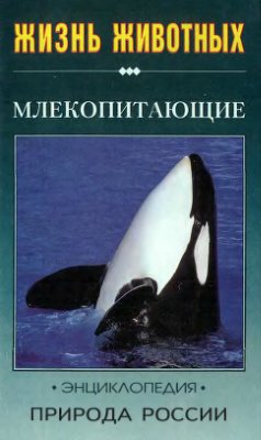 Павлинов И.Я. Природа России: Жизнь животных. Млекопитающие (часть 2)