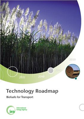 Tanaka N. Technology Roadmap: Biofuels for Transport