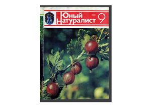 Юный натуралист 1985 №09