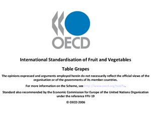 Международная стандартизация фруктов и овощей. Столовый виноград
