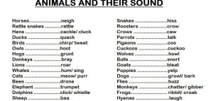 Як кажуть тварини?