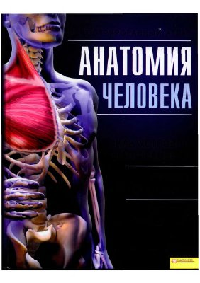 Кассан Адольфо. Анатомия человека. Иллюстрированный атлас