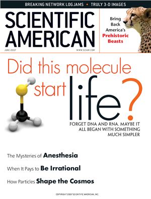 Scientific American 2007 №06