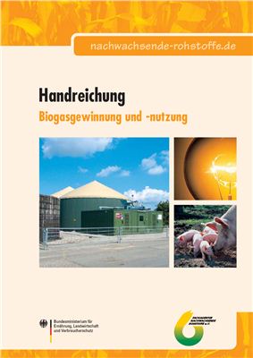Kaltschmitt M. und and. Biogasgewinnung und -nutzung