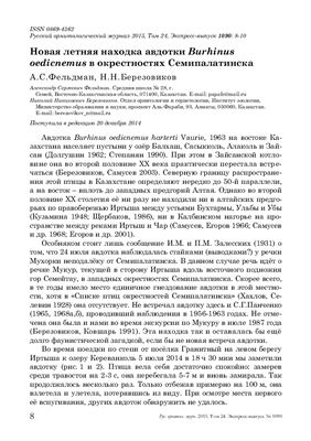 Фельдман А.С., Березовиков Н.Н. Новая летняя находка авдотки Burhinus oedicnemus в окрестностях Семипалатинска