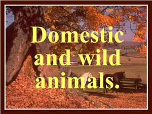 Domestic and wild animals