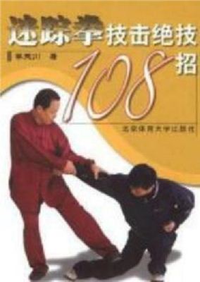 Ли Юйчуань. 108 техник китайского бокса Мицзун-цюань