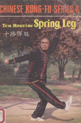 十路弹腿. Ma Zhenbang. Ten Routine Spring Leg