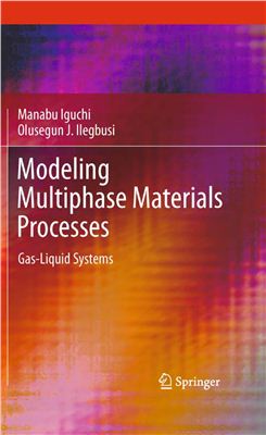 Iguchi Manabu, Ilegbusi Olusegun J. Modeling Multiphase Materials Processes: Gas-Liquid Systems