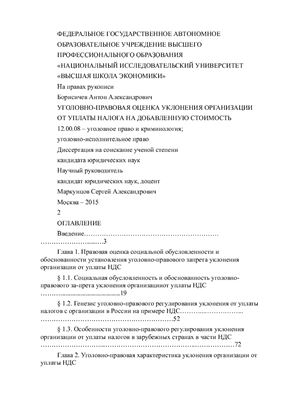 Борисичев А.А. Уголовно-правовая оценка уклонения организации от уплаты налога на добавленную стоимость