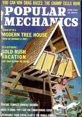 Popular Mechanics 1965 №06