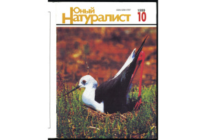 Юный натуралист 1999 №10