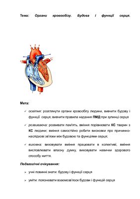 Органи кровообігу. Будова і функції серця. 9 клас