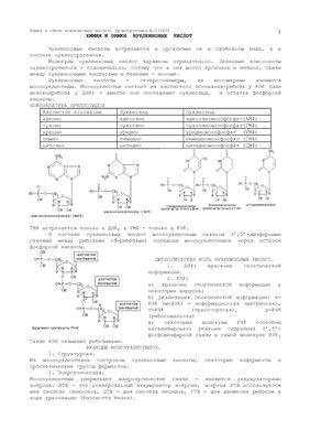 Химия и обмен нуклеиновых кислот. Хромопротеины