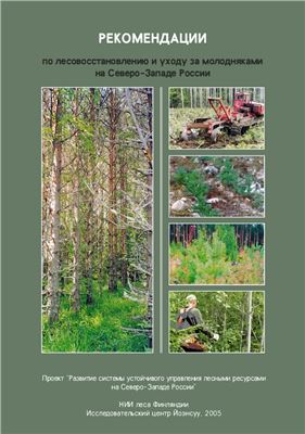 Рекомендации по лесовосстановлению и уходу за молодняками на Северо-Западе России