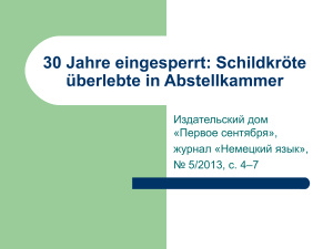 Deutsch 2013 №04. Электронное приложение к журналу